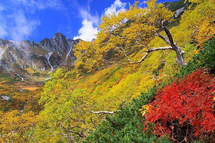 autumn