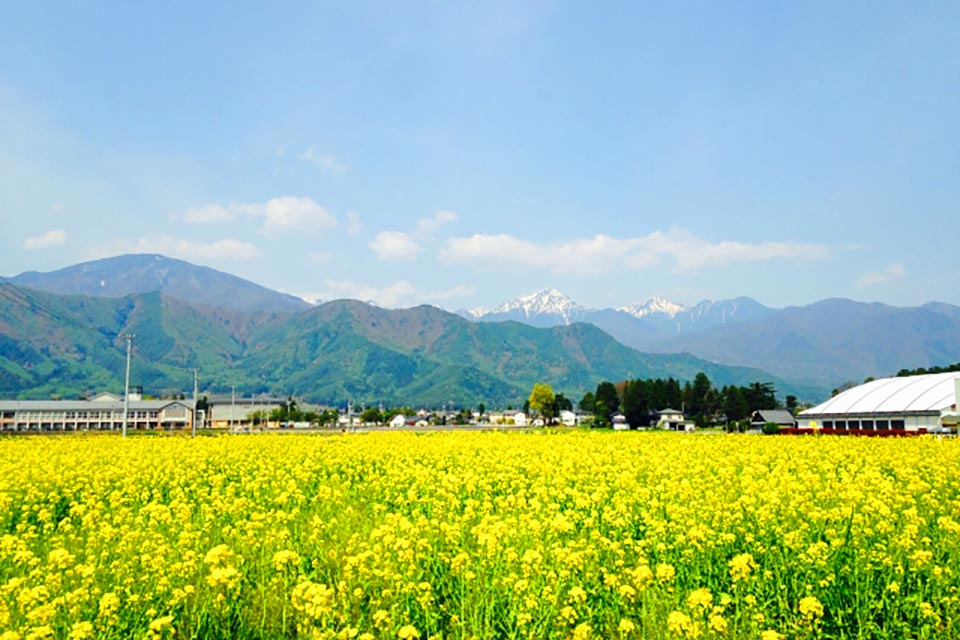 Azumino