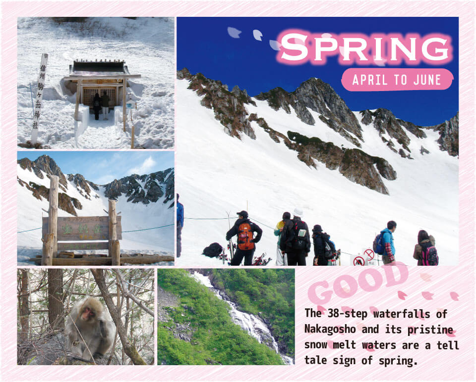 Cirque_spring