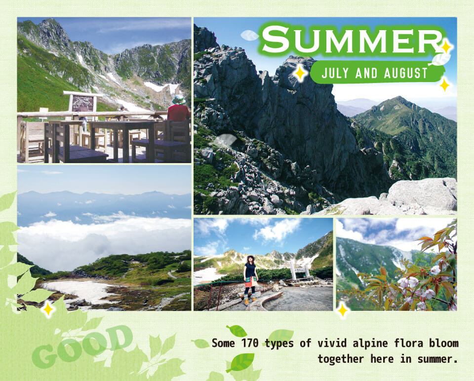 Cirque_summer