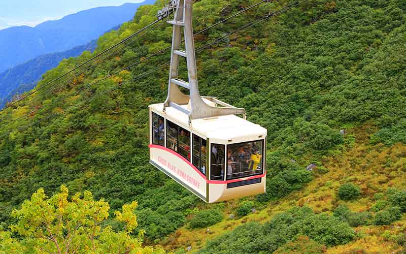 buisiness-ropeway
