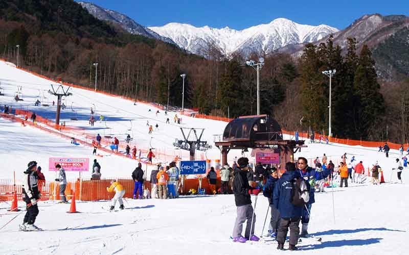 buisiness-ski