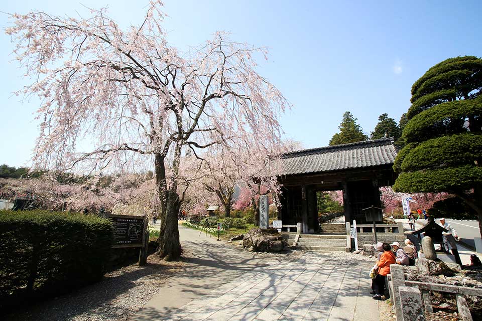 Kozen-ji Temple