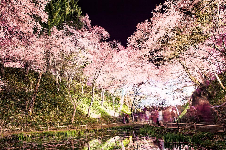 Takatojoshi Park