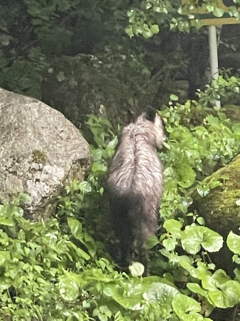 雨の日の朝食