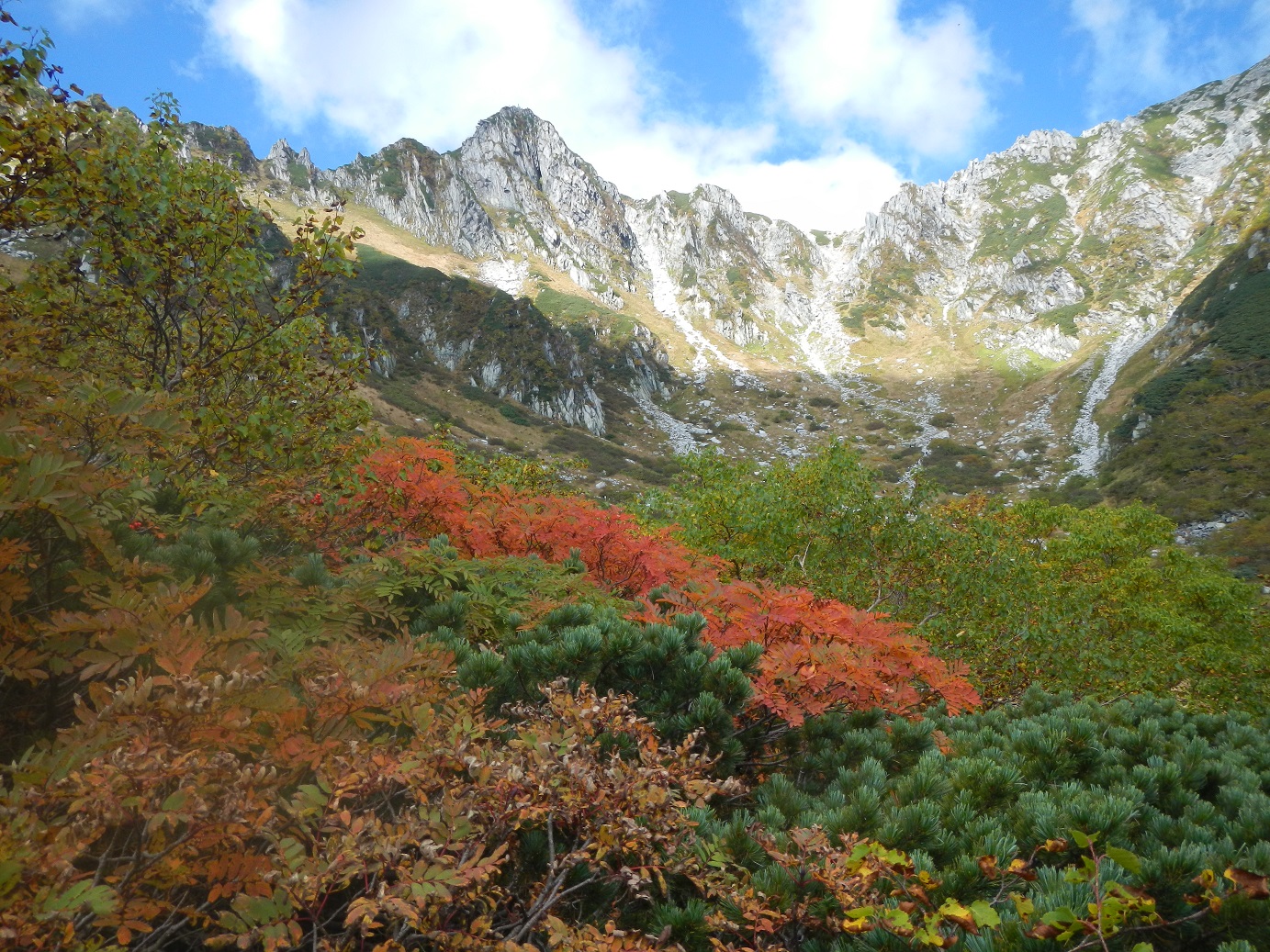紅葉1