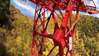 10.11紅葉情報