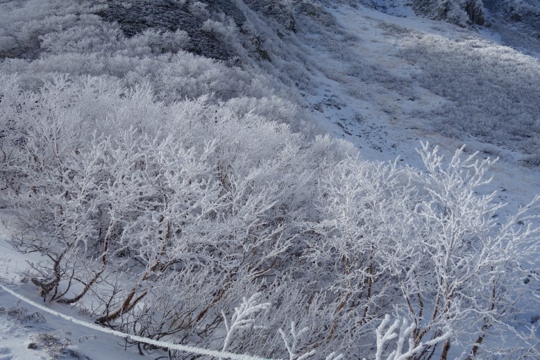 千畳敷カール 霧氷