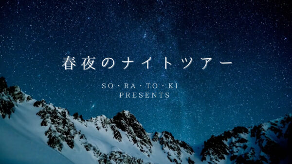 春の夜を満喫♪【ナイトツアー】のご案内