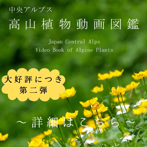 あなたの知らない高山植物