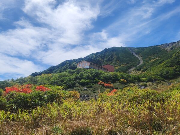 9/21現在の紅葉情報