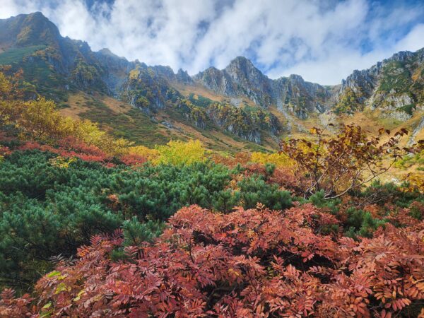 10/1現在の紅葉情報