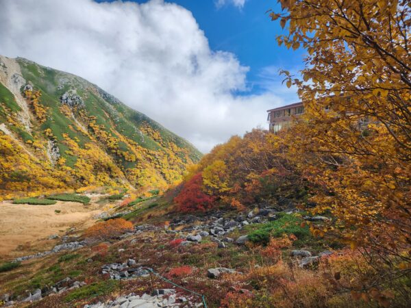 10/8現在の紅葉情報