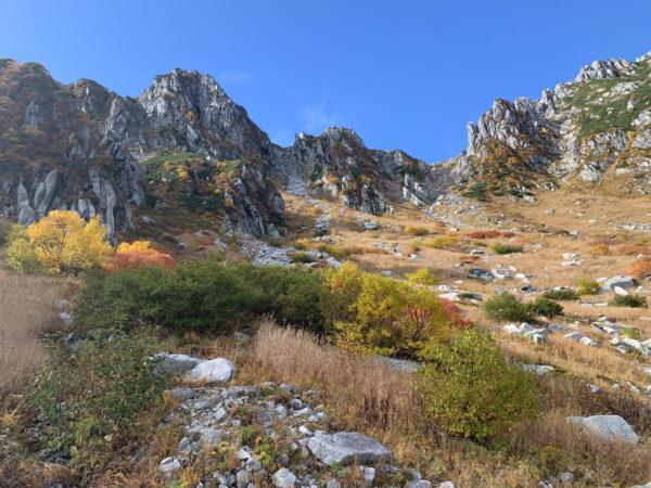 ついに紅葉がはじまりました！！