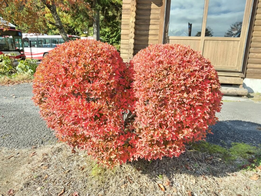 たまには違うところから