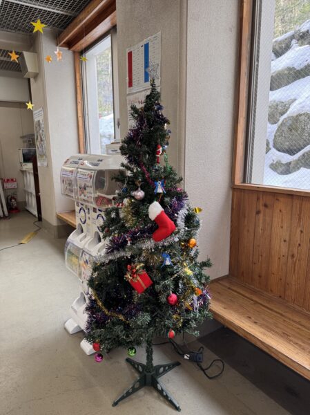 クリスマスイベントのお知らせ