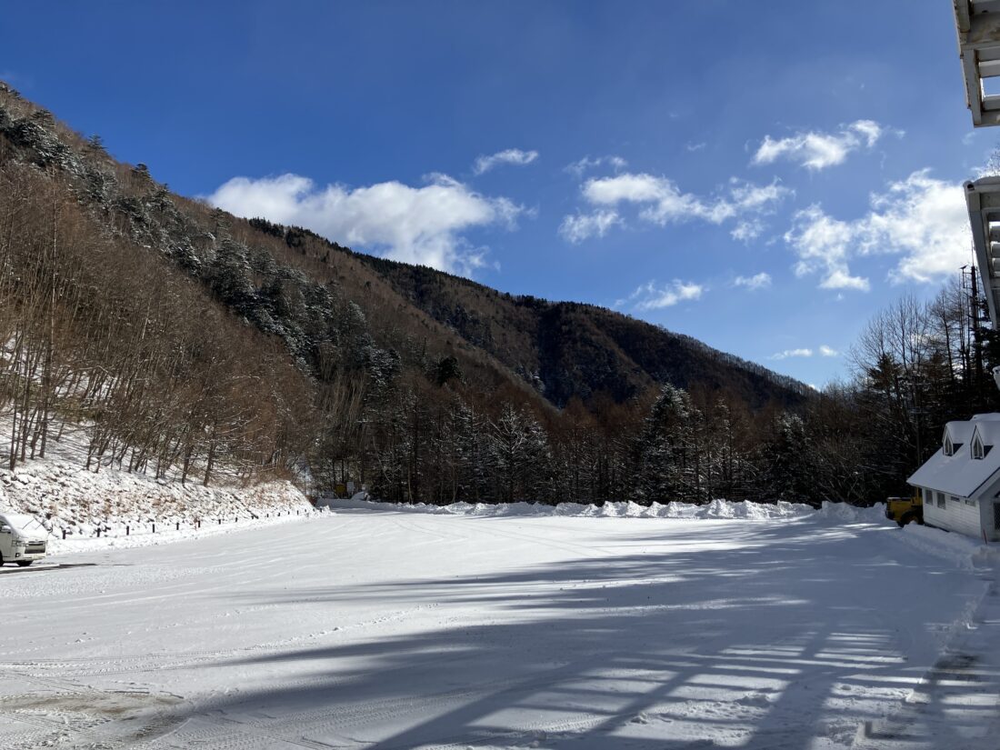 こんなことしてますよ(=ﾟωﾟ)ﾉ