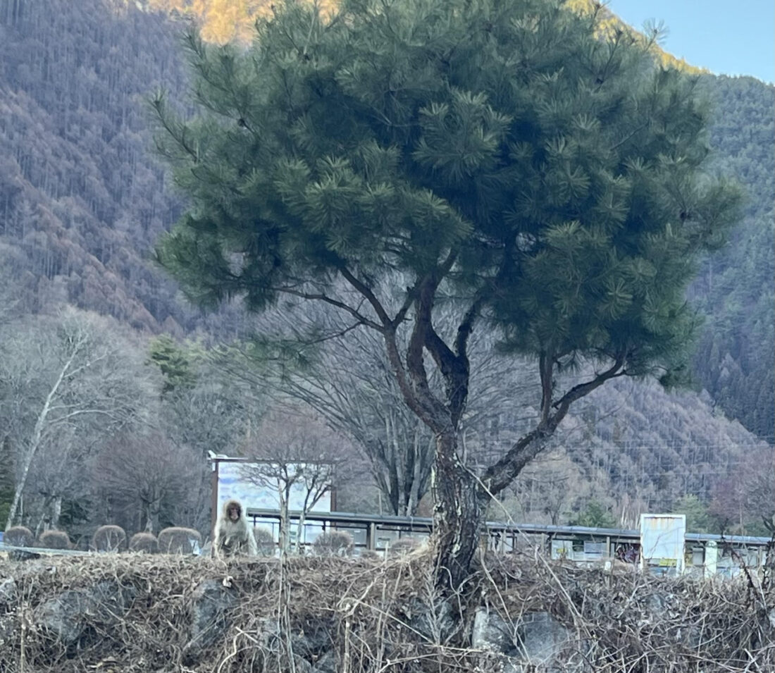 冬もラストスパート