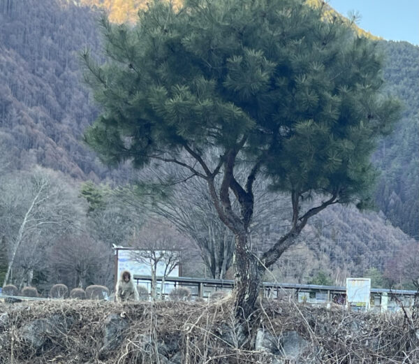 冬もラストスパート