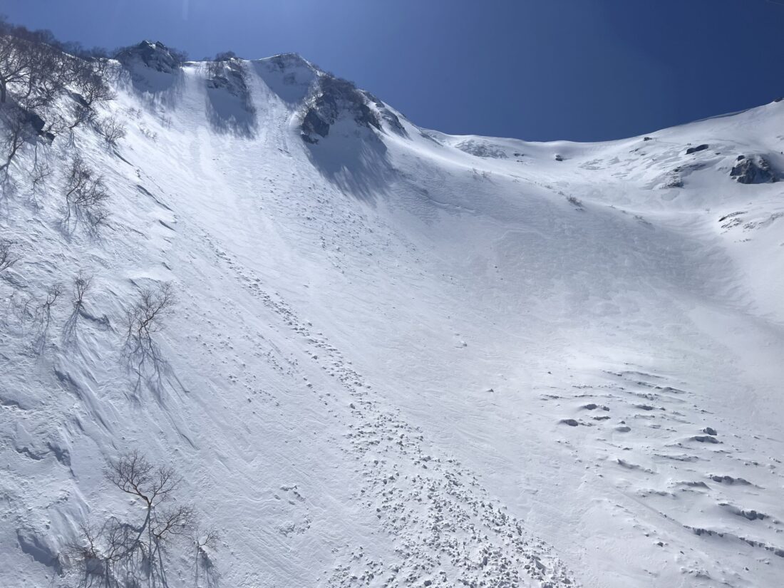 冬の楽しみ方！