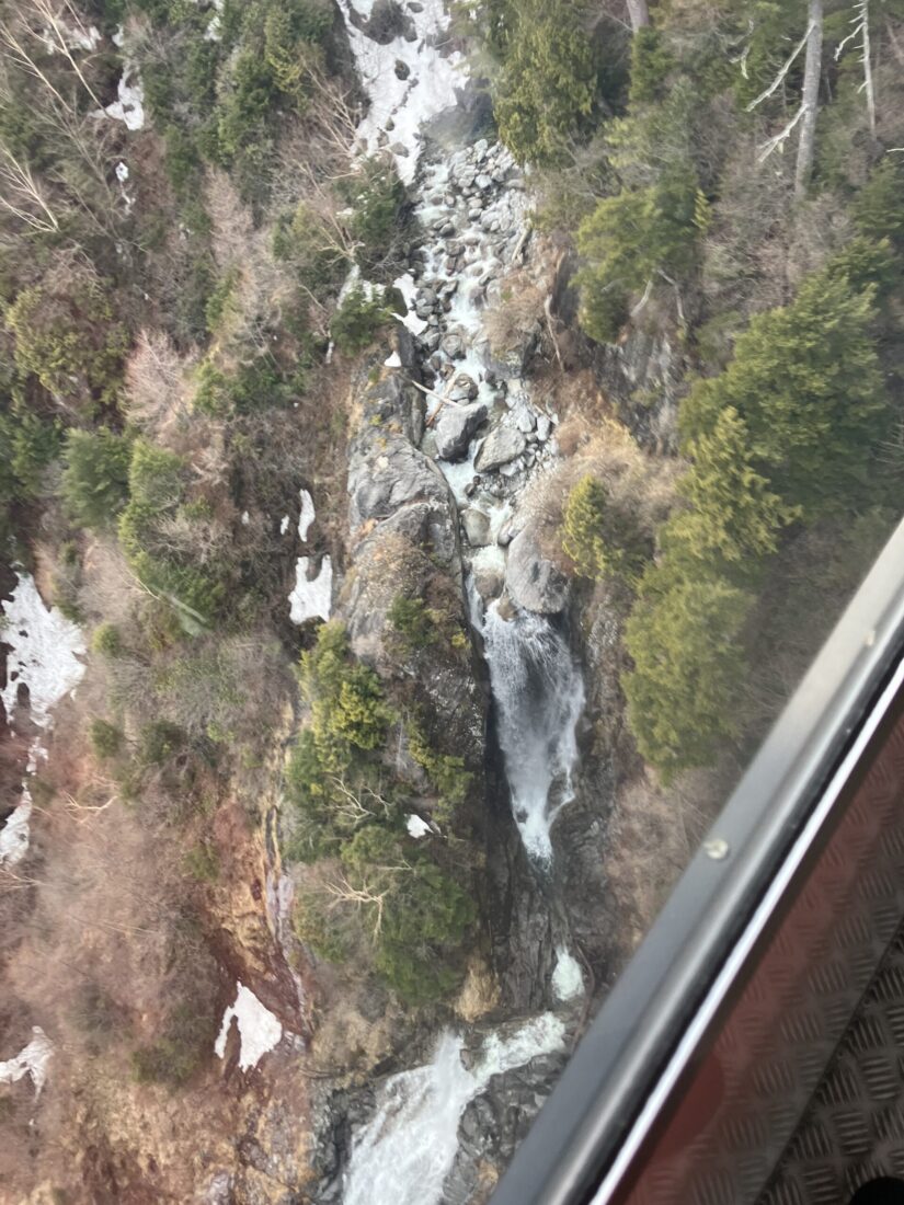 もう春ですね(*‘∀‘)