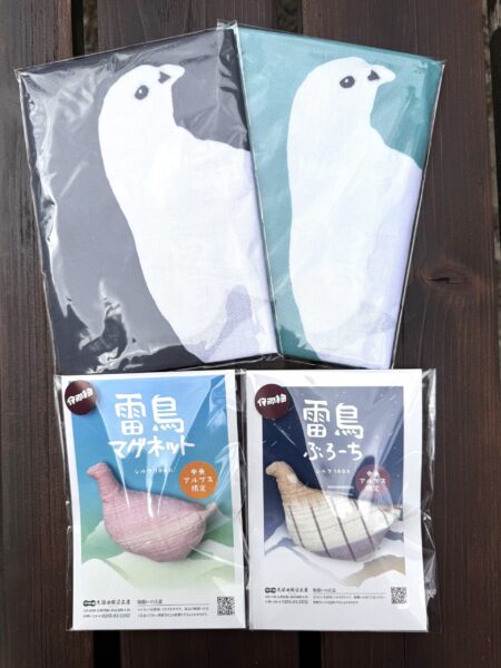 夏だ！新商品だ！