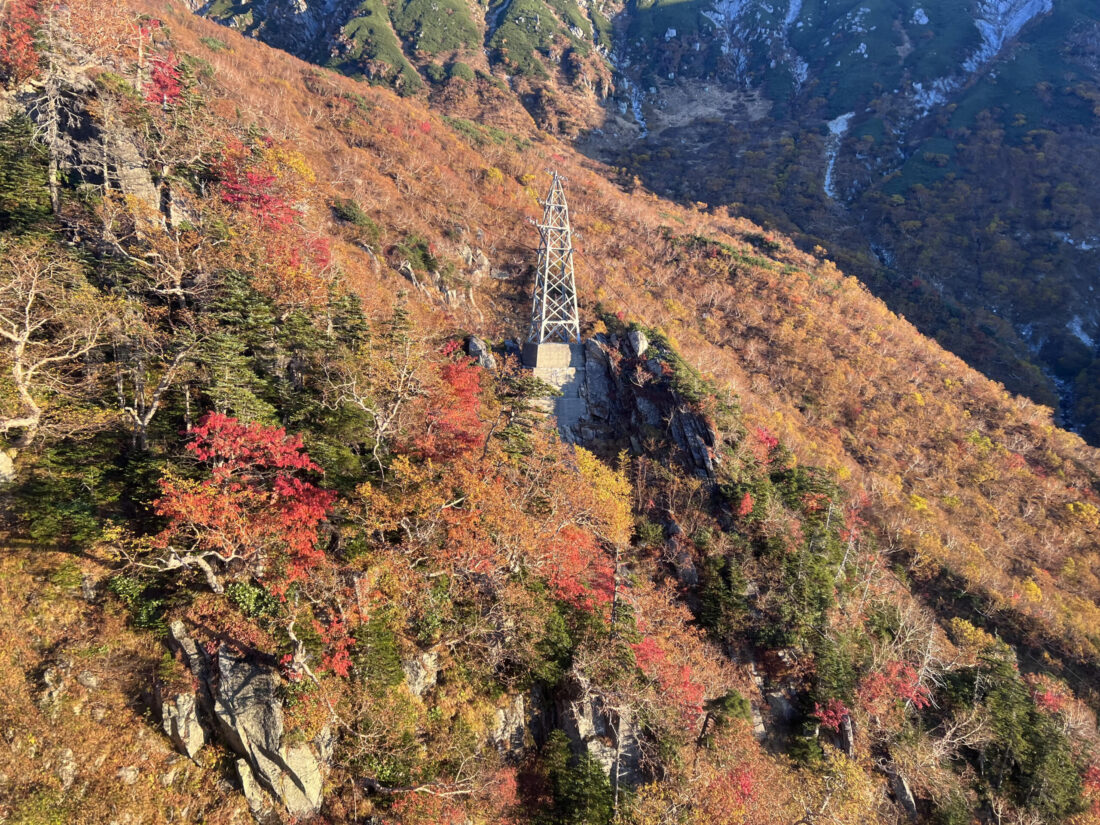 紅葉が見頃です！！