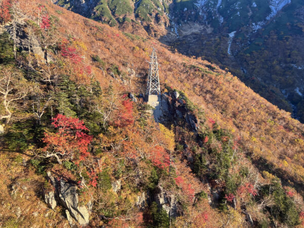 紅葉が見頃です！！